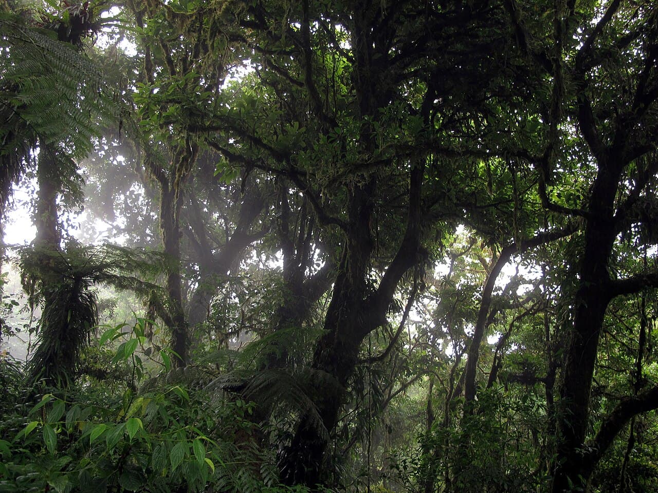 Featured view 2 of Costa Rica
