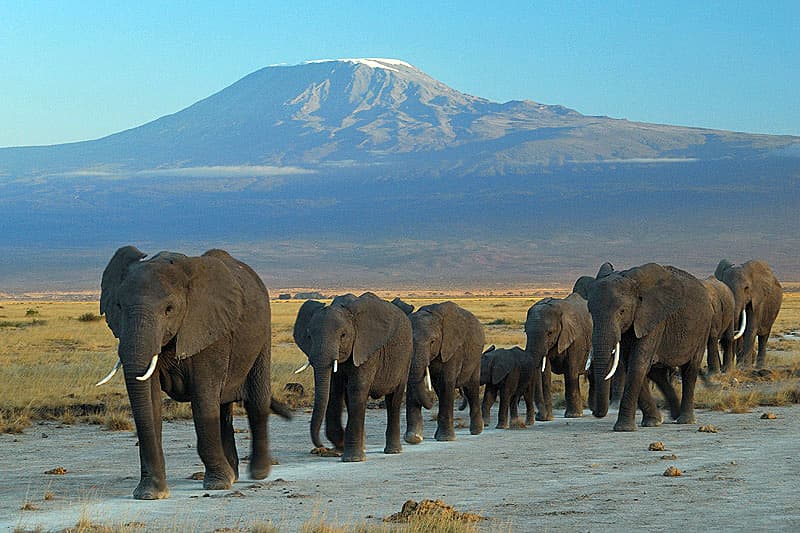 Featured view 2 of Kenya