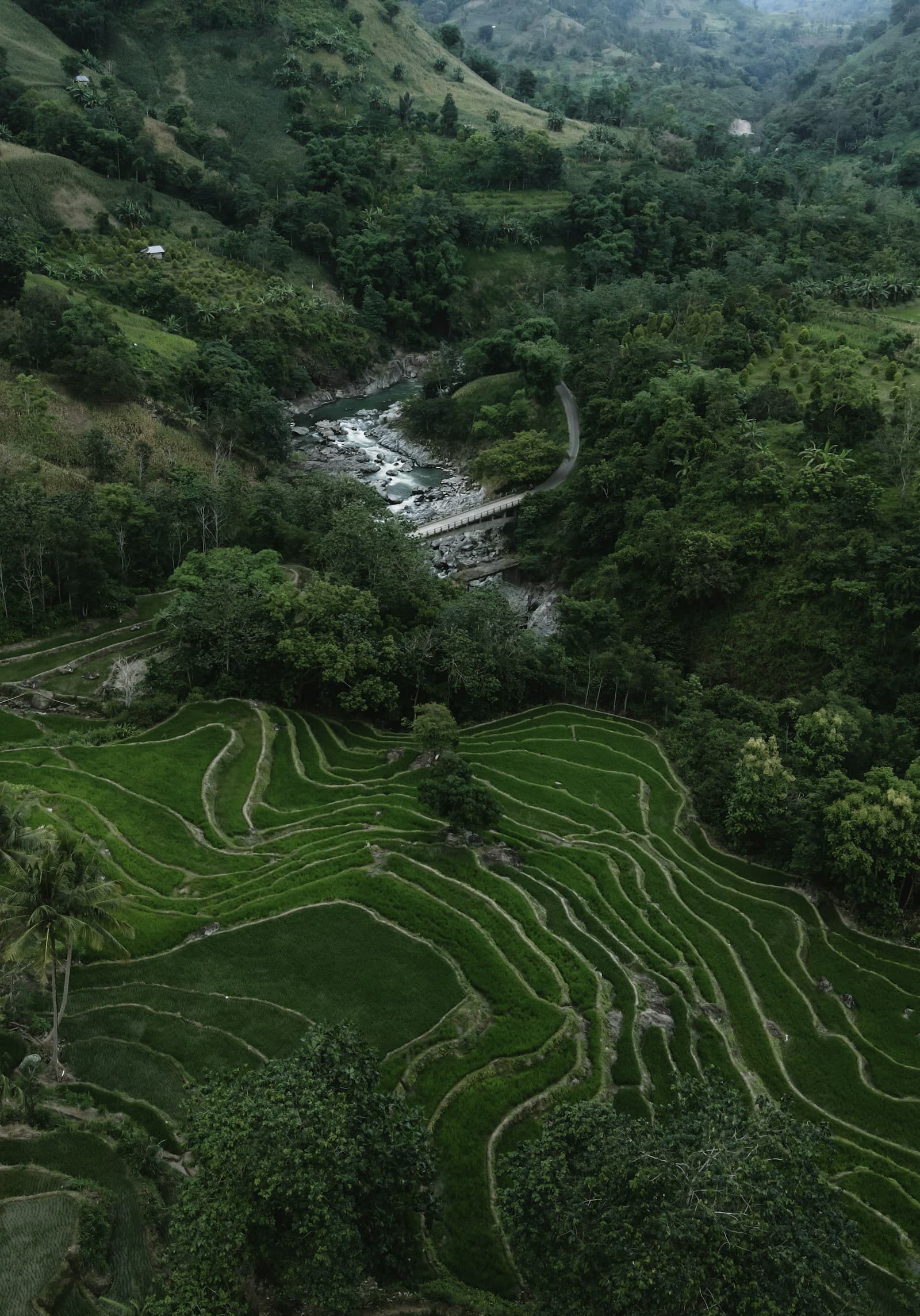 A memorable view of Indonesia