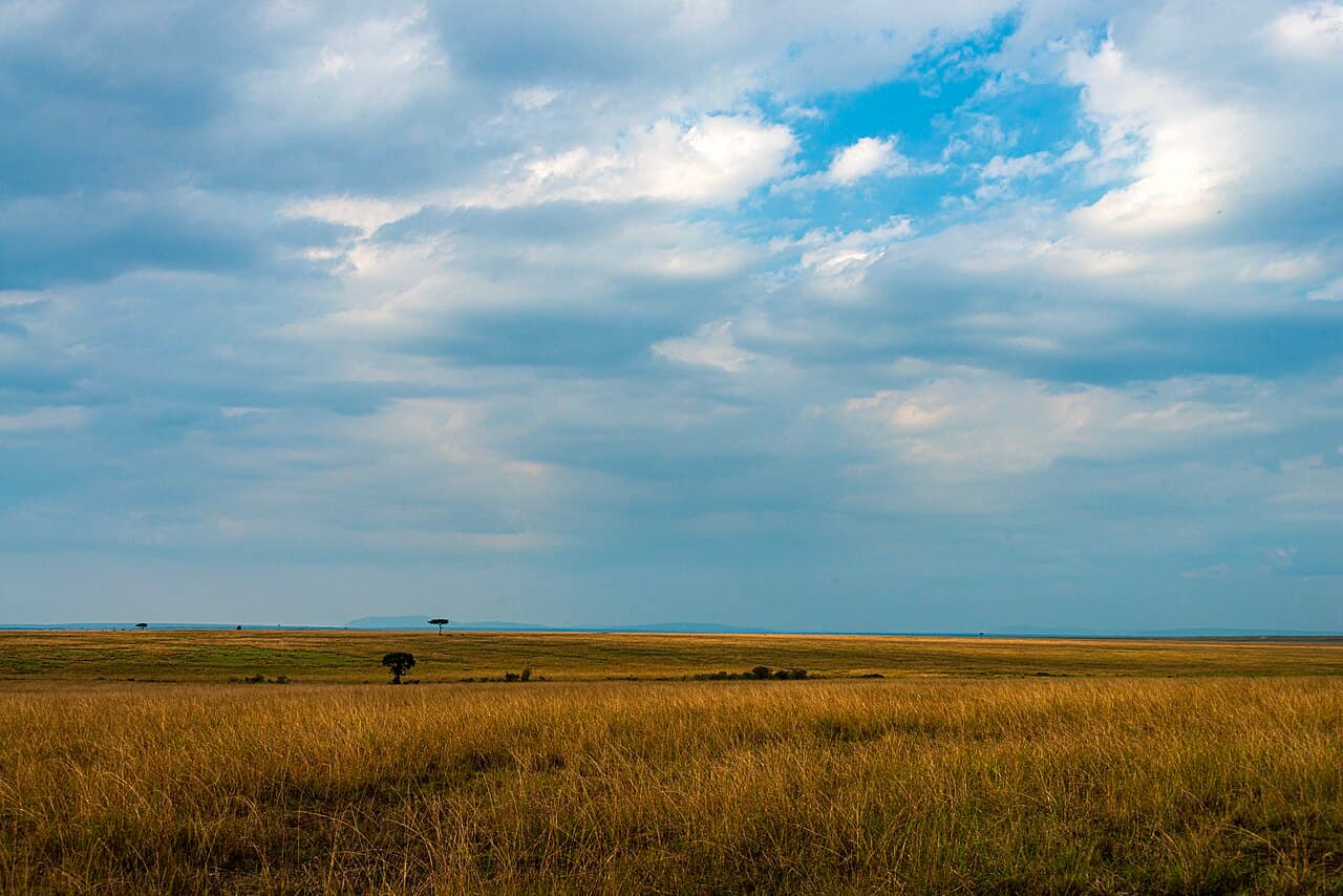 A memorable view of Kenya