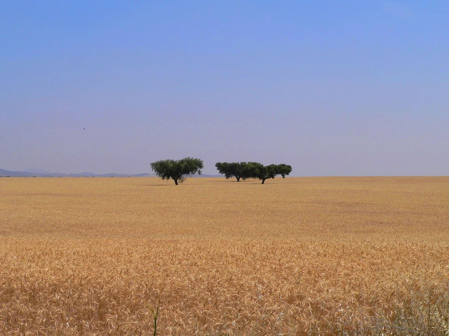 Alentejo, Portugal