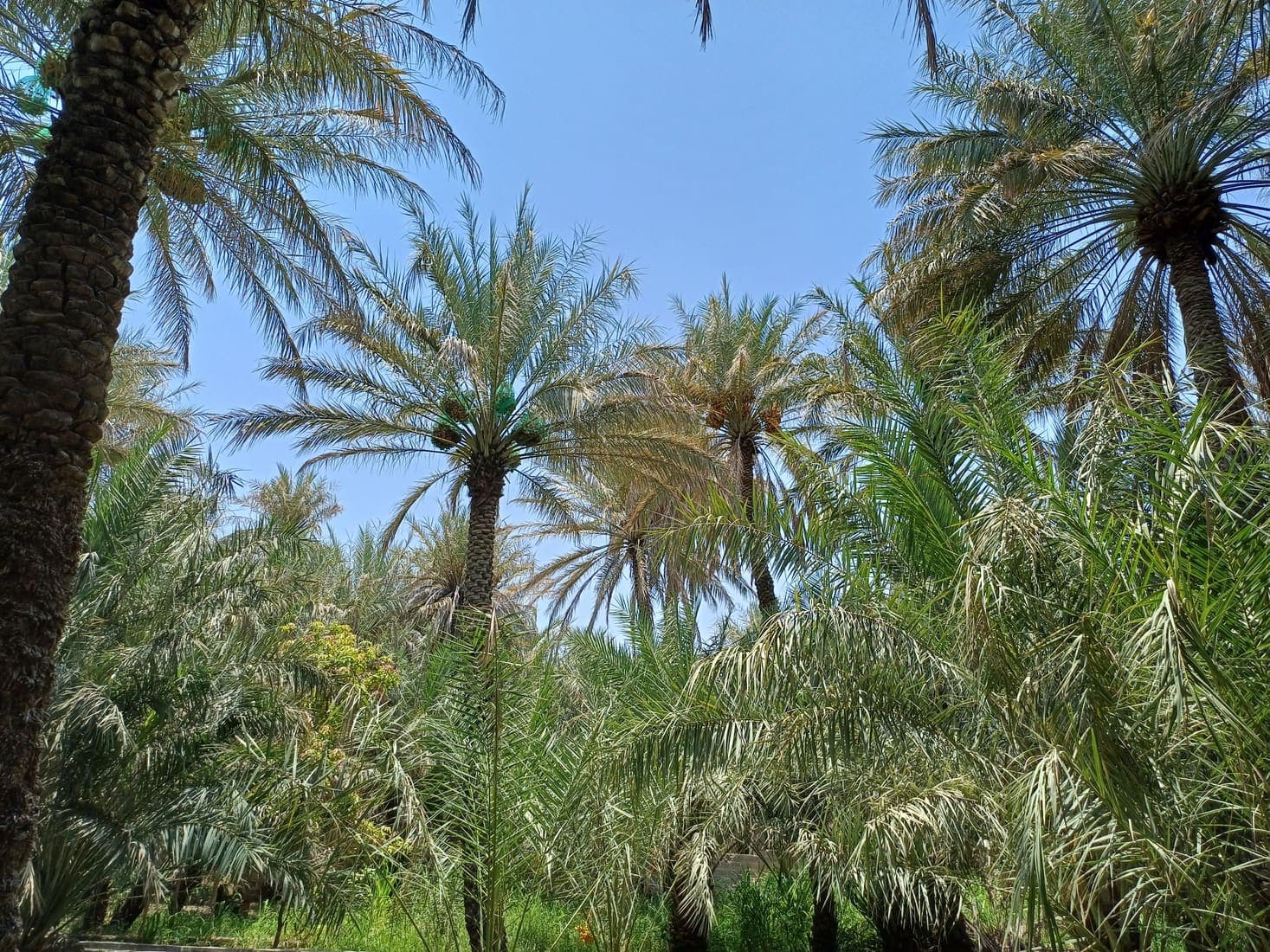 Al Ain, United Arab Emirates