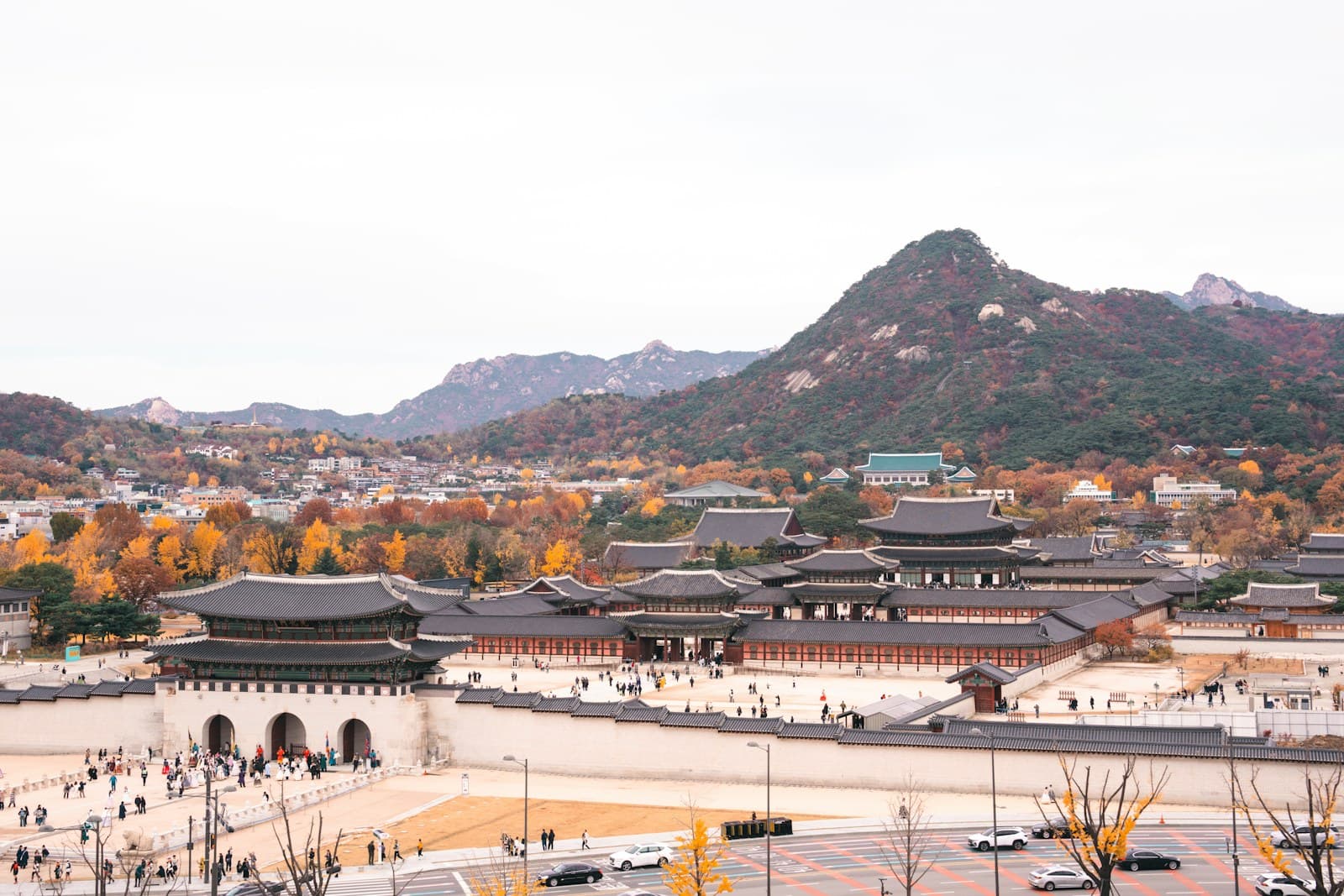 A memorable view of South Korea
